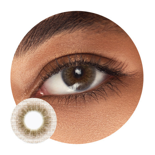 Innovision Daily - Elite II : 2 Tones Brown