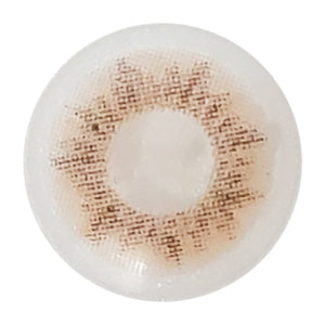 Innovision Daily - Natural Elegance Brown