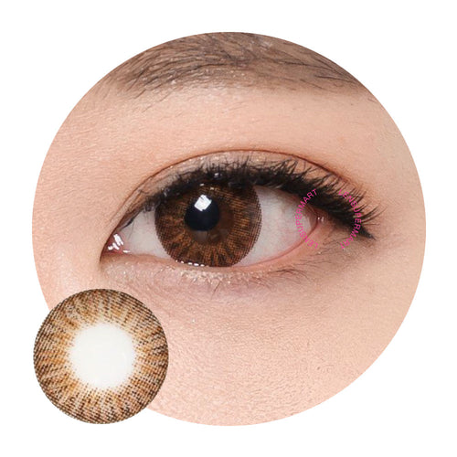 Gaia Daily - Elegance Brown