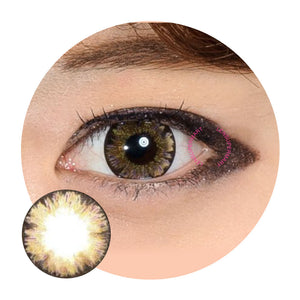 Gaia Daily - JM-40 Brown