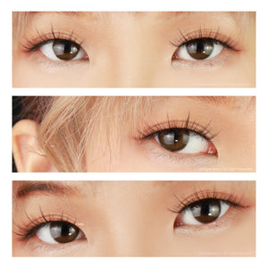 I-Girl - Rosha Beige Brown (Daily Disposable)