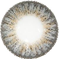 Load image into Gallery viewer, Gaia Daily - Elegance Grey-Cosmetic Contacts-Lensupermart