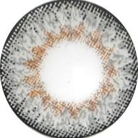 Load image into Gallery viewer, Gaia Daily - Lucy Grey-Cosmetic Contacts-Lensupermart
