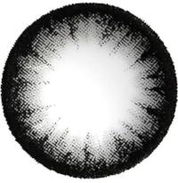 Load image into Gallery viewer, GEO Daily - AN-A64 Grey-Cosmetic Contacts-Lensupermart