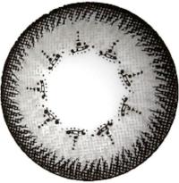 Load image into Gallery viewer, GEO Daily - TinTin Grey-Cosmetic Contacts-Lensupermart