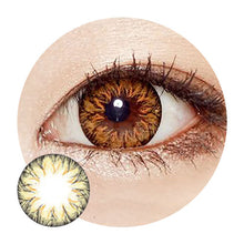 Load image into Gallery viewer, ICK - Soony Brown