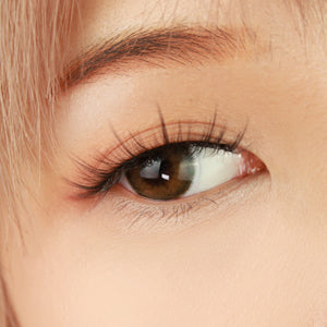 I-Girl - Rosha Beige Brown (Daily Disposable)